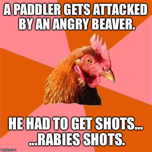Bad Beaver | A PADDLER GETS ATTACKED BY AN ANGRY BEAVER. HE HAD TO GET SHOTS... ...RABIES SHOTS. | image tagged in memes,anti joke chicken,beaver,rabies,animal attack,shot | made w/ Imgflip meme maker