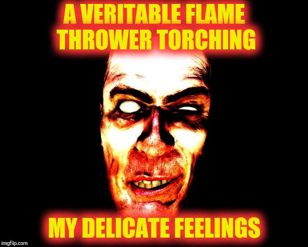 , burning | A VERITABLE FLAME THROWER TORCHING MY DELICATE FEELINGS | image tagged in g-man from half-life | made w/ Imgflip meme maker