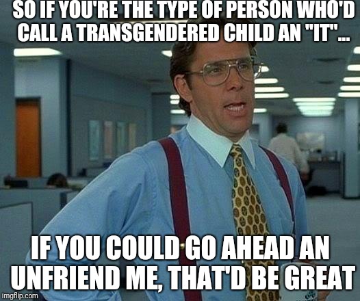 That Would Be Great Meme | SO IF YOU'RE THE TYPE OF PERSON WHO'D CALL A TRANSGENDERED CHILD AN "IT"... IF YOU COULD GO AHEAD AN UNFRIEND ME, THAT'D BE GREAT | image tagged in memes,that would be great | made w/ Imgflip meme maker