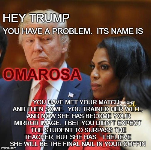 This is Gonna Be Fun! | image tagged in trump,omarosa,tapes | made w/ Imgflip meme maker