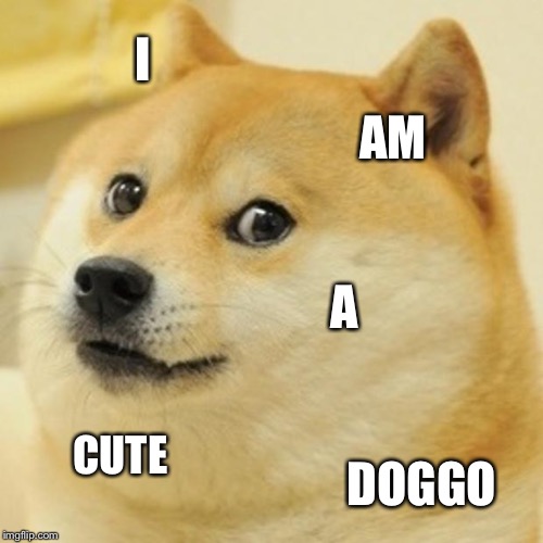Doge | I; AM; A; CUTE; DOGGO | image tagged in memes,doge | made w/ Imgflip meme maker
