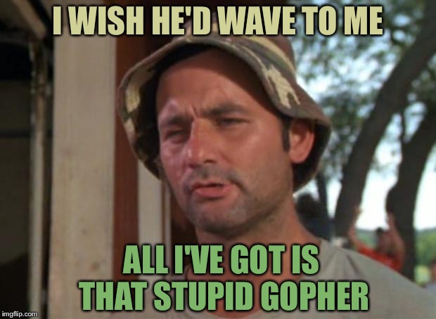 So I Got That Goin For Me Which Is Nice Meme | I WISH HE'D WAVE TO ME ALL I'VE GOT IS THAT STUPID GOPHER | image tagged in memes,so i got that goin for me which is nice | made w/ Imgflip meme maker