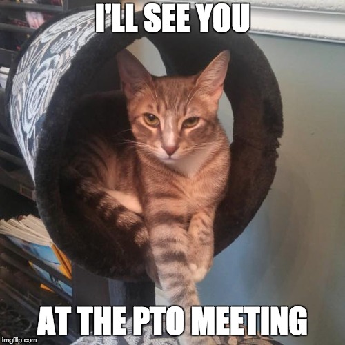 PTO CAT | I'LL SEE YOU; AT THE PTO MEETING | image tagged in pto,pta,meeting | made w/ Imgflip meme maker