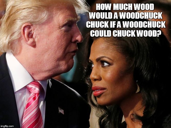 It Doesn't Matter | HOW MUCH WOOD WOULD A WOODCHUCK CHUCK IF A WOODCHUCK COULD CHUCK WOOD? | image tagged in trump,omarosa,fake news | made w/ Imgflip meme maker