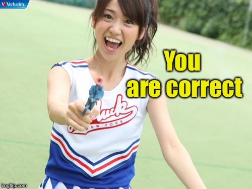 Yuko With Gun Meme | You are correct | image tagged in memes,yuko with gun | made w/ Imgflip meme maker