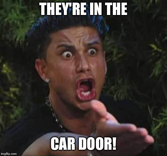 Jersey shore  | THEY'RE IN THE CAR DOOR! | image tagged in jersey shore | made w/ Imgflip meme maker