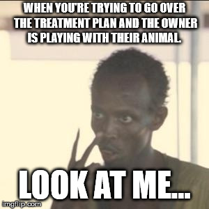 Look At Me Meme | WHEN YOU'RE TRYING TO GO OVER THE TREATMENT PLAN AND THE OWNER IS PLAYING WITH THEIR ANIMAL. LOOK AT ME... | image tagged in memes,look at me | made w/ Imgflip meme maker
