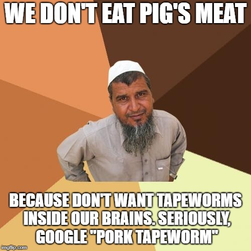 Islamophobes Must Be Enjoying Having Parasites Inside Their Brain | WE DON'T EAT PIG'S MEAT; BECAUSE DON'T WANT TAPEWORMS INSIDE OUR BRAINS. SERIOUSLY, GOOGLE "PORK TAPEWORM" | image tagged in memes,ordinary muslim man,brain,pork,bacon | made w/ Imgflip meme maker
