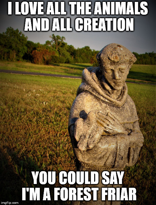 sadst.francis | I LOVE ALL THE ANIMALS AND ALL CREATION YOU COULD SAY I'M A FOREST FRIAR | image tagged in sadstfrancis | made w/ Imgflip meme maker