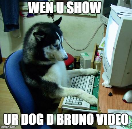I Have No Idea What I Am Doing | WEN U SHOW; UR DOG D BRUNO VIDEO | image tagged in memes,i have no idea what i am doing | made w/ Imgflip meme maker