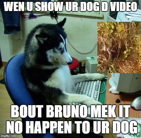 I Have No Idea What I Am Doing | WEN U SHOW UR DOG D VIDEO; BOUT BRUNO MEK IT NO HAPPEN TO UR DOG | image tagged in memes,i have no idea what i am doing | made w/ Imgflip meme maker