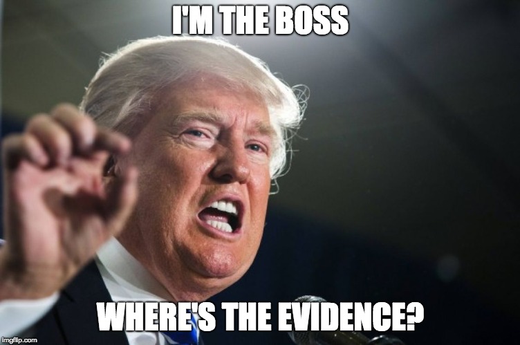 donald trump | I'M THE BOSS; WHERE'S THE EVIDENCE? | image tagged in donald trump | made w/ Imgflip meme maker