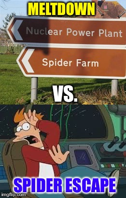 Parker!  Get down there and see what's going on! | MELTDOWN; VS. SPIDER ESCAPE | image tagged in fry,scared,spider,memes,funny | made w/ Imgflip meme maker