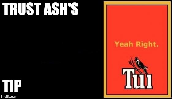 Tui | TRUST ASH'S; TIP | image tagged in tui | made w/ Imgflip meme maker