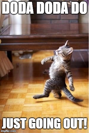 Walking Cat | DODA DODA DO; JUST GOING OUT! | image tagged in walking cat | made w/ Imgflip meme maker