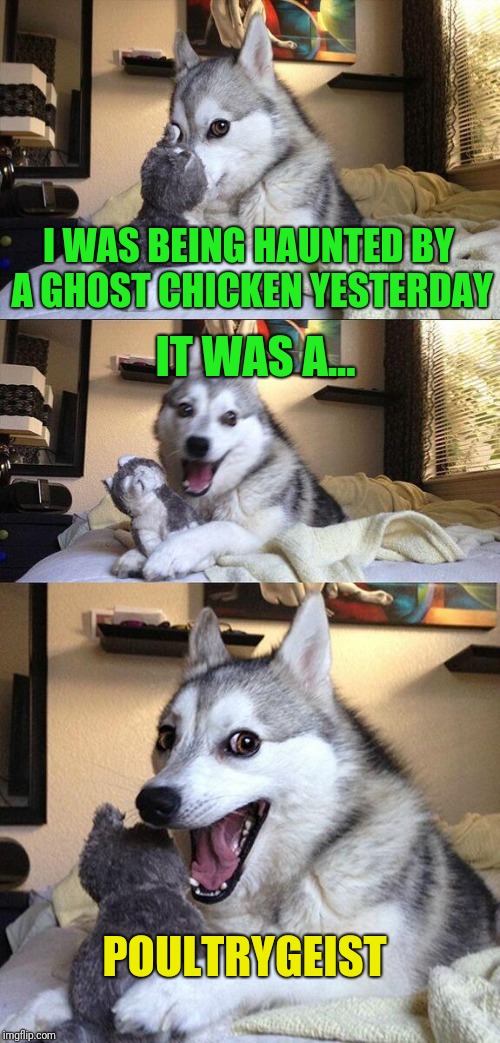 Bad Pun Dog Meme | I WAS BEING HAUNTED BY A GHOST CHICKEN YESTERDAY; IT WAS A... POULTRYGEIST | image tagged in memes,bad pun dog | made w/ Imgflip meme maker