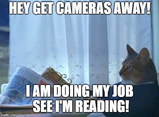 Cat newspaper | HEY GET CAMERAS AWAY! I AM DOING MY JOB SEE I'M READING! | image tagged in cat newspaper | made w/ Imgflip meme maker
