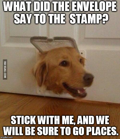 Jim Golden Retriever  | WHAT DID THE ENVELOPE SAY TO THE 
STAMP? STICK WITH ME, AND WE WILL BE SURE TO GO PLACES. | image tagged in jim golden retriever | made w/ Imgflip meme maker