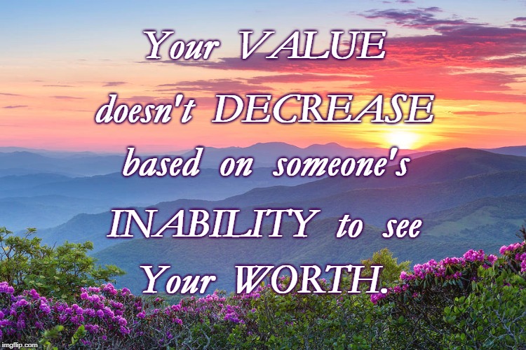 True Worth | Your  VALUE; doesn't  DECREASE; based  on  someone's; INABILITY  to  see; Your  WORTH. | image tagged in true worth,true value | made w/ Imgflip meme maker