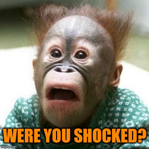 Shocked Monkey | WERE YOU SHOCKED? | image tagged in shocked monkey | made w/ Imgflip meme maker