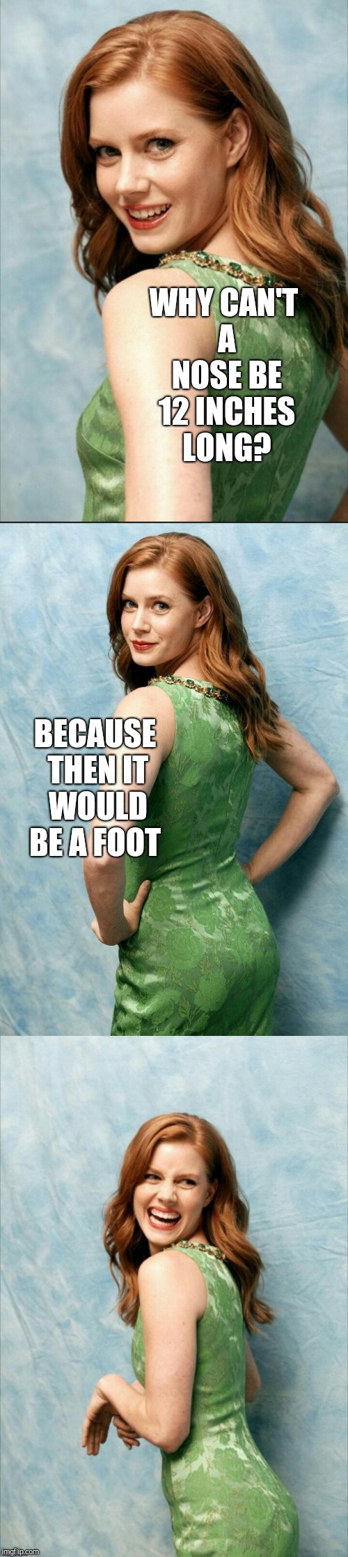 Amy Adams joke template  | WHY CAN'T A NOSE BE 12 INCHES LONG? BECAUSE THEN IT WOULD BE A FOOT | image tagged in amy adams joke template,bad puns,jbmemegeek,amy adams | made w/ Imgflip meme maker