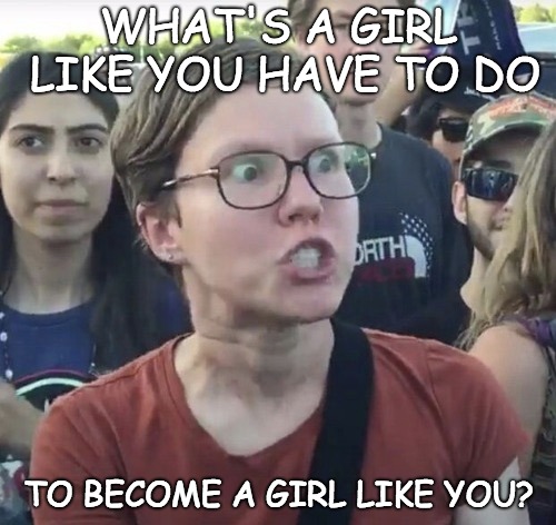 What do you do? | WHAT'S A GIRL LIKE YOU HAVE TO DO; TO BECOME A GIRL LIKE YOU? | image tagged in triggered feminist,girl like you | made w/ Imgflip meme maker