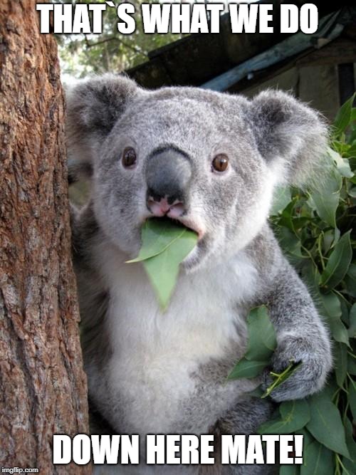 Surprised Koala Meme | THAT`S WHAT WE DO DOWN HERE MATE! | image tagged in memes,surprised koala | made w/ Imgflip meme maker