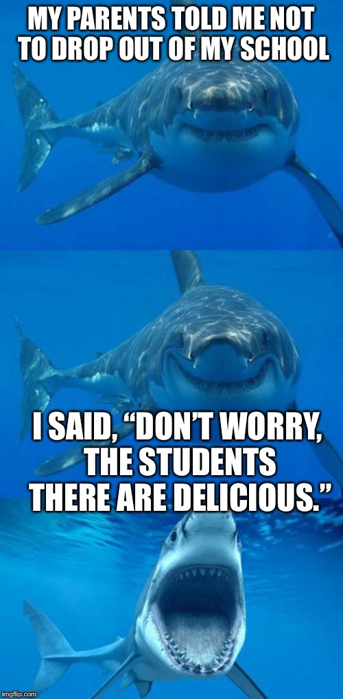 Why is a group of fish called a school anyway? | MY PARENTS TOLD ME NOT TO DROP OUT OF MY SCHOOL; I SAID, “DON’T WORRY, THE STUDENTS THERE ARE DELICIOUS.” | image tagged in bad shark pun,fish | made w/ Imgflip meme maker