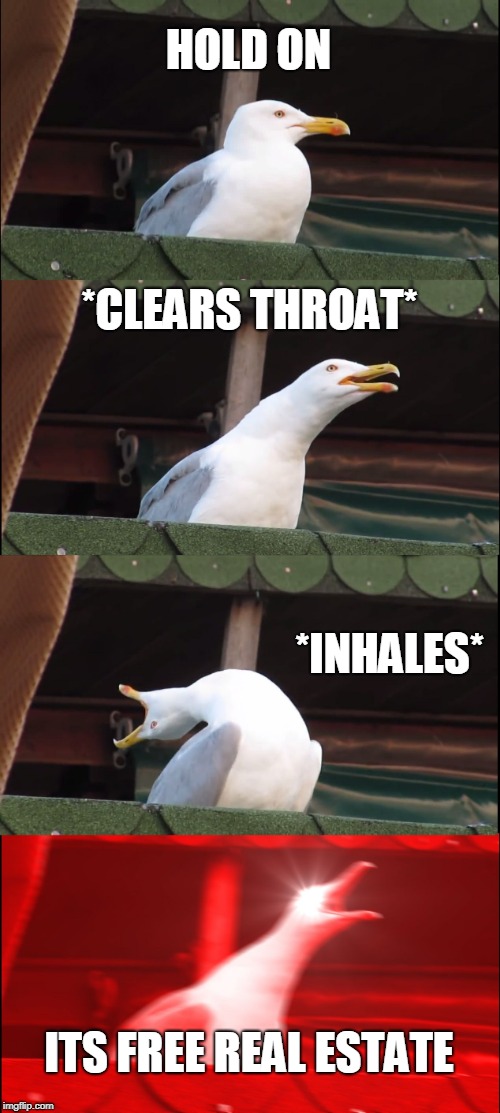 Inhaling Seagull Meme | HOLD ON; *CLEARS THROAT*; *INHALES*; ITS FREE REAL ESTATE | image tagged in memes,inhaling seagull | made w/ Imgflip meme maker