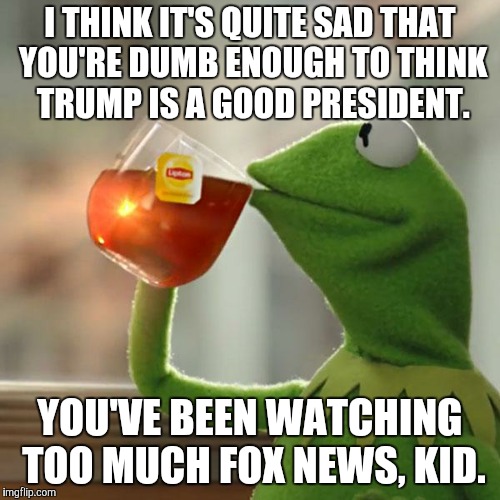 But That's None Of My Business Meme | I THINK IT'S QUITE SAD THAT YOU'RE DUMB ENOUGH TO THINK TRUMP IS A GOOD PRESIDENT. YOU'VE BEEN WATCHING TOO MUCH FOX NEWS, KID. | image tagged in memes,but thats none of my business,kermit the frog | made w/ Imgflip meme maker