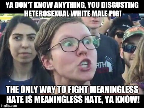 Angry sjw | YA DON'T KNOW ANYTHING, YOU DISGUSTING HETEROSEXUAL WHITE MALE PIG! THE ONLY WAY TO FIGHT MEANINGLESS HATE IS MEANINGLESS HATE, YA KNOW! | image tagged in angry sjw | made w/ Imgflip meme maker