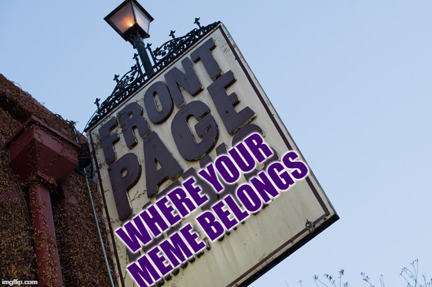 Now, Where do my Memes Belong? | WHERE YOUR MEME BELONGS | image tagged in vince vance,front page,frontpage,front page memes,memes,so true memes | made w/ Imgflip meme maker