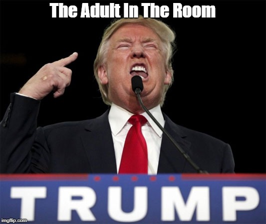 "The Adult In The Room" | The Adult In The Room | image tagged in trump,deplorable donald,despicable donald,devious donald,dishonorable donald,dishonest donald | made w/ Imgflip meme maker