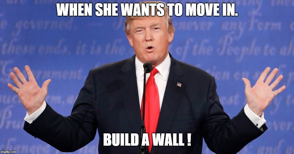 Donald Trump's dating advice | WHEN SHE WANTS TO MOVE IN. BUILD A WALL ! | image tagged in funny memes,hilarious,donald trump | made w/ Imgflip meme maker