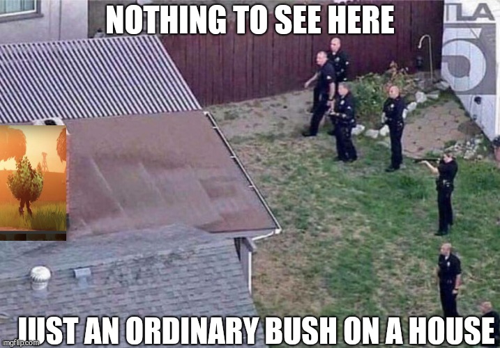 Fortnite meme | NOTHING TO SEE HERE; JUST AN ORDINARY BUSH ON A HOUSE | image tagged in fortnite meme | made w/ Imgflip meme maker