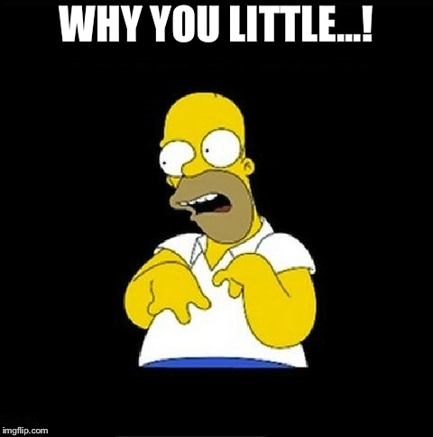 Homer Simpson Retarded | WHY YOU LITTLE...! | image tagged in homer simpson retarded | made w/ Imgflip meme maker