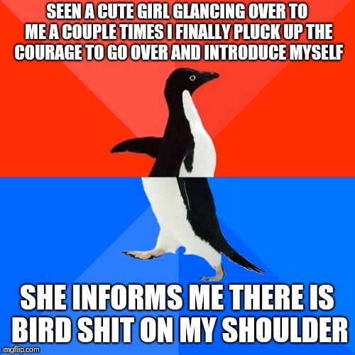 Socially Awesome Awkward Penguin Meme | SEEN A CUTE GIRL GLANCING OVER TO ME A COUPLE TIMES I FINALLY PLUCK UP THE COURAGE TO GO OVER AND INTRODUCE MYSELF; SHE INFORMS ME THERE IS BIRD SHIT ON MY SHOULDER | image tagged in memes,socially awesome awkward penguin | made w/ Imgflip meme maker