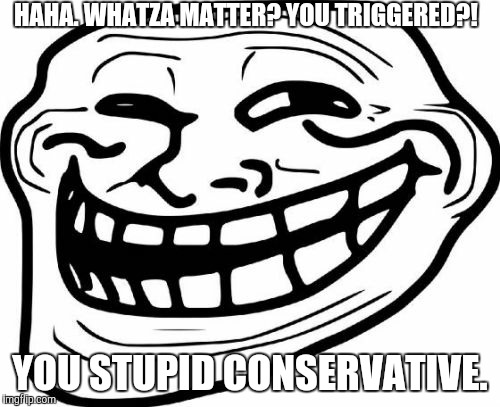 Troll Face Meme | HAHA. WHATZA MATTER? YOU TRIGGERED?! YOU STUPID CONSERVATIVE. | image tagged in memes,troll face | made w/ Imgflip meme maker