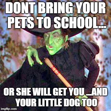 Wicked Witch | DONT BRING YOUR PETS TO SCHOOL... OR SHE WILL GET YOU ...AND YOUR LITTLE DOG TOO | image tagged in wicked witch | made w/ Imgflip meme maker