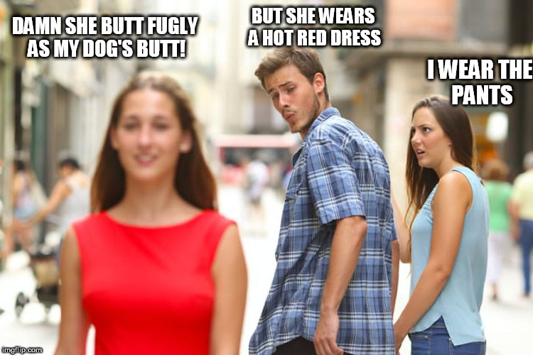 Distracted Boyfriend Meme | DAMN SHE BUTT FUGLY AS MY DOG'S BUTT! I WEAR THE  PANTS BUT SHE WEARS A HOT RED DRESS | image tagged in memes,distracted boyfriend | made w/ Imgflip meme maker