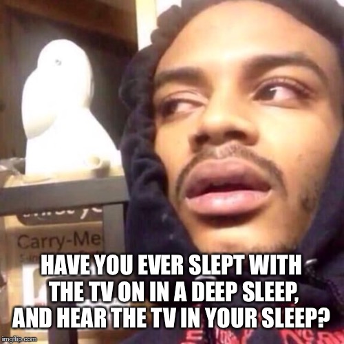 Wow theories | HAVE YOU EVER SLEPT WITH THE TV ON IN A DEEP SLEEP, AND HEAR THE TV IN YOUR SLEEP? | image tagged in wow | made w/ Imgflip meme maker