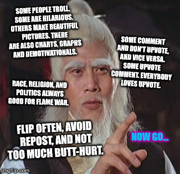 Img Fu | SOME PEOPLE TROLL. SOME ARE HILARIOUS. OTHERS MAKE BEAUTIFUL PICTURES. THERE ARE ALSO CHARTS, GRAPHS AND DEMOTIVATIONALS. SOME COMMENT AND DON'T UPVOTE, AND VICE VERSA. SOME UPVOTE COMMENT. EVERYBODY LOVES UPVOTE. RACE, RELIGION, AND POLITICS ALWAYS GOOD FOR FLAME WAR. FLIP OFTEN, AVOID REPOST, AND NOT TOO MUCH BUTT-HURT. NOW GO... | image tagged in wise kung fu master,memes,funny,imgflip | made w/ Imgflip meme maker