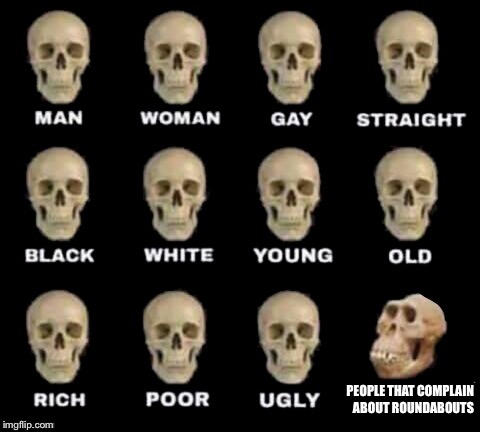idiot skull | PEOPLE THAT COMPLAIN ABOUT ROUNDABOUTS | image tagged in idiot skull | made w/ Imgflip meme maker