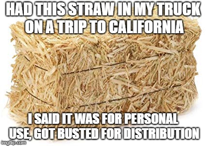 HAD THIS STRAW IN MY TRUCK ON A TRIP TO CALIFORNIA; I SAID IT WAS FOR PERSONAL USE, GOT BUSTED FOR DISTRIBUTION | image tagged in straw ban | made w/ Imgflip meme maker