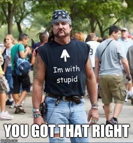 I'm With Stupid Biker Dude | YOU GOT THAT RIGHT | image tagged in i'm with stupid biker dude | made w/ Imgflip meme maker