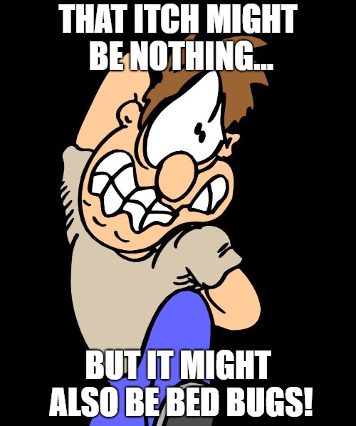 Itching & Scratching w/ Bed Bugs | THAT ITCH MIGHT BE NOTHING... BUT IT MIGHT ALSO BE BED BUGS! | image tagged in itchy scratchy,itch,scratch,cartoon,funny,bedbugs | made w/ Imgflip meme maker