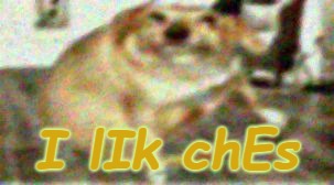 I lIk chEs | I lIk chEs | image tagged in i lik ches,cheese,memes,meme,dank memes,dank | made w/ Imgflip meme maker