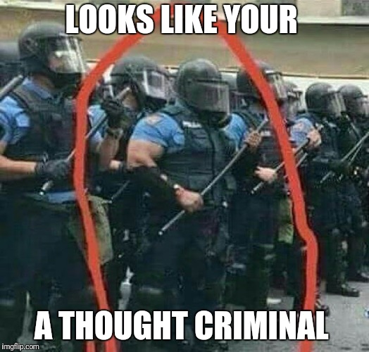 LOOKS LIKE YOUR A THOUGHT CRIMINAL | made w/ Imgflip meme maker