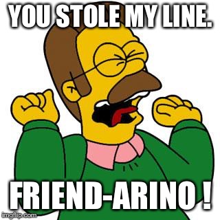 Ned Flanders Shouting | YOU STOLE MY LINE. FRIEND-ARINO ! | image tagged in ned flanders shouting | made w/ Imgflip meme maker