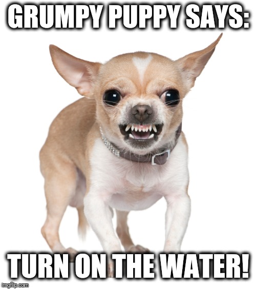 GRUMPY PUPPY SAYS: TURN ON THE WATER! | made w/ Imgflip meme maker
